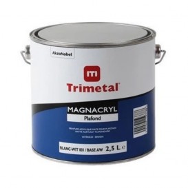 Magnacryl Plafond 2.5L blanc