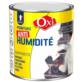 PEINTURE ANTI-HUMIDITE BLANCHE INT/EXTERIEURE