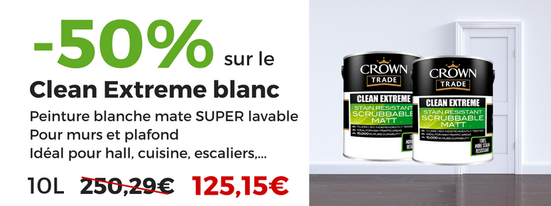 peinture mate lavable promo