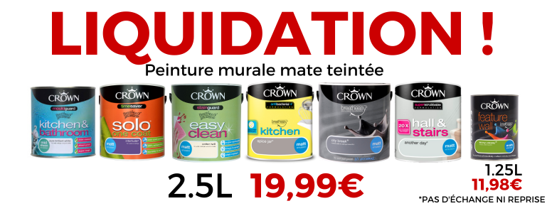 peinture façade sandtex
