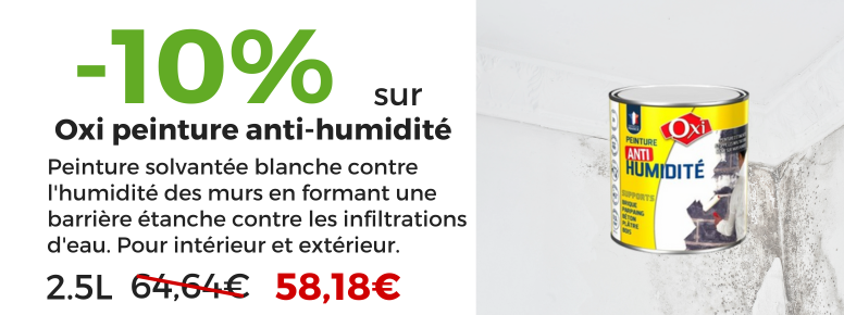 peinture anti-humidite