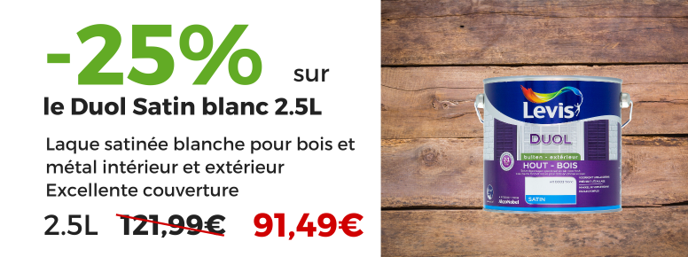levis duol promo