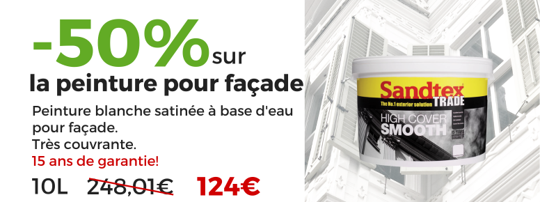 peinture murale mate