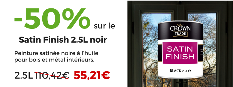 peinture murale mate