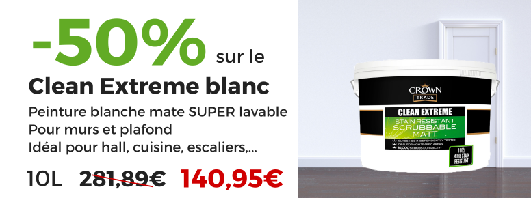 peinture murale mate lavable