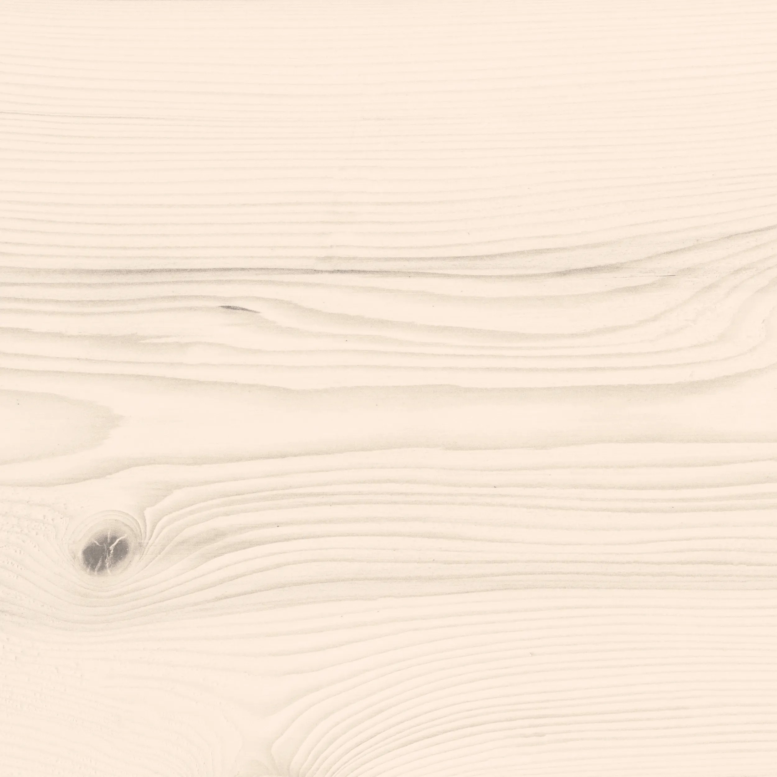 Cedre blanc